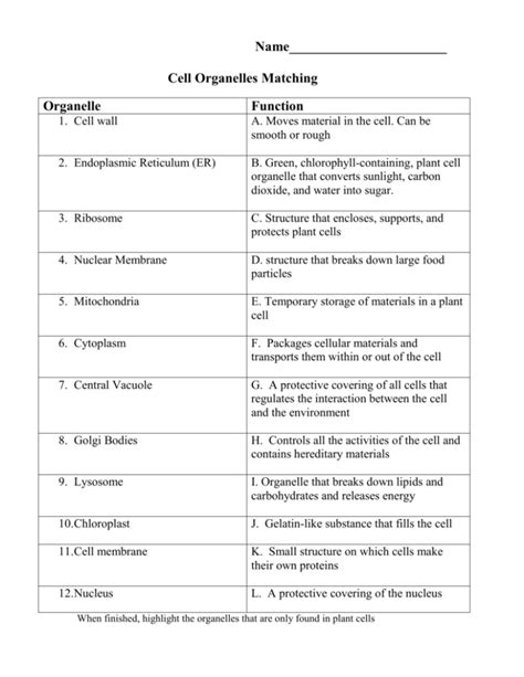 Plant Cell Parts And Their Functions