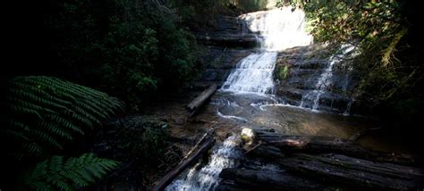 Lady Barron Falls Circuit