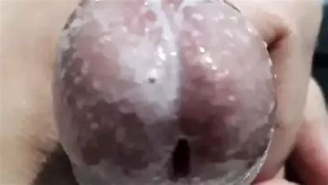 Igro Kauli Free Gay Porn Video Fd Xhamster