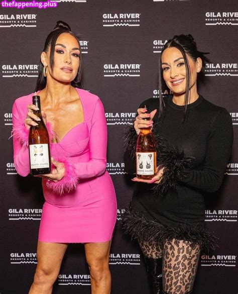 Nikki Bella Brie Bella The Bella Twins Thenikkibella Nude OnlyFans Photo 273 The