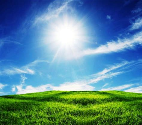 Лето, или как мы его... | Пикабу