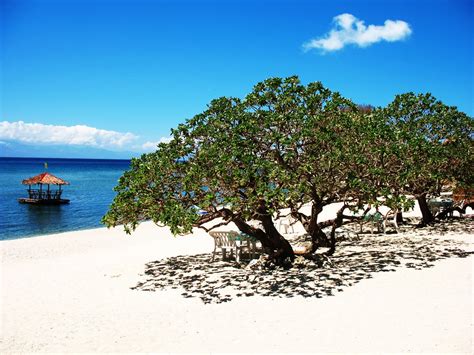 Anilao Batangas Beach Resorts Flock To Eagle Point Resort