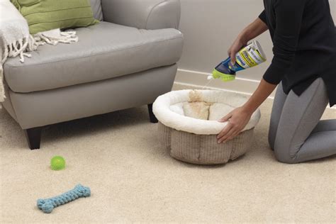 Woolite® Carpet Pet Urine Eliminator Enzyme Action With Brush Head