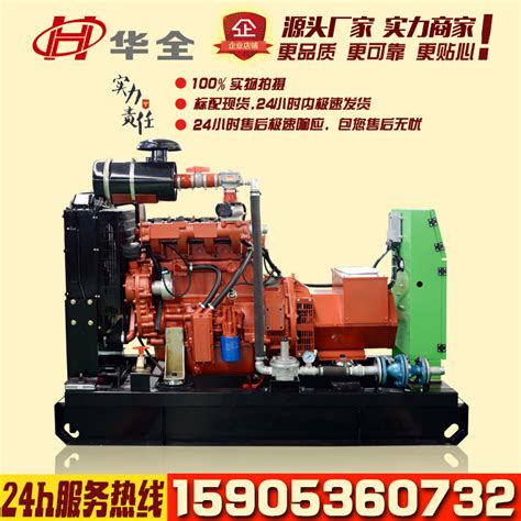 Купить Газогенератор 30kw沼气发电机 30千瓦小型家用沼气发电机 家庭养殖用沼气设备 China в интернет ...