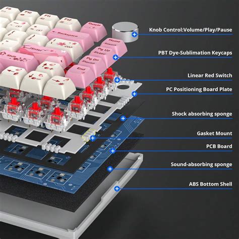 SURMEN Gaming Keyboard Percent American QWERTY Wired Mechanical RGB Keyboard Keys Hot