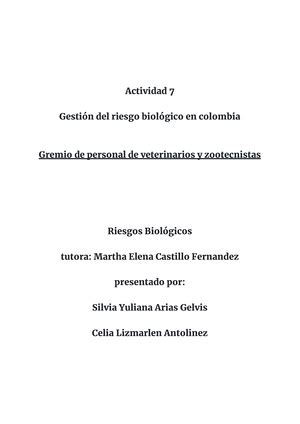 Plan Nacional Salud Ocupacional 2003 2007 Plan Nacional De Salud