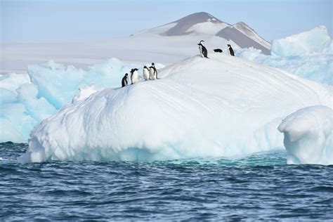 The Weddell Sea National Geographic Explorer Lindblad