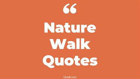 The 274+ Nature Walk Quotes Page 7 - ↑QUOTLR↑