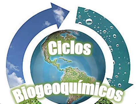 Qual é O Papel Das Soluções Químicas Nos Ciclos Biogeoquímicos