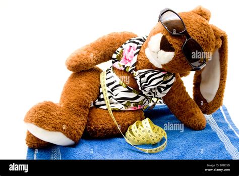 Rabbit In The Bikini Stock Photo Alamy