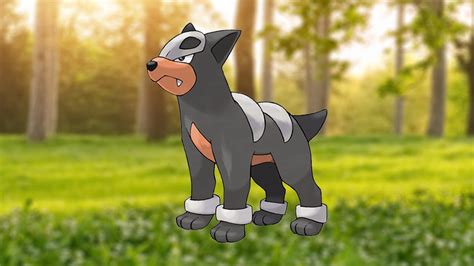 Houndour 100% perfect IV stats, shiny Houndour in Pokémon Go ...