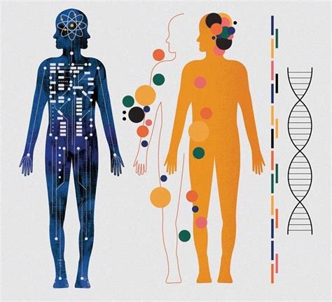DNA Sequencing: History, Steps, Methods, Applications And Limitations