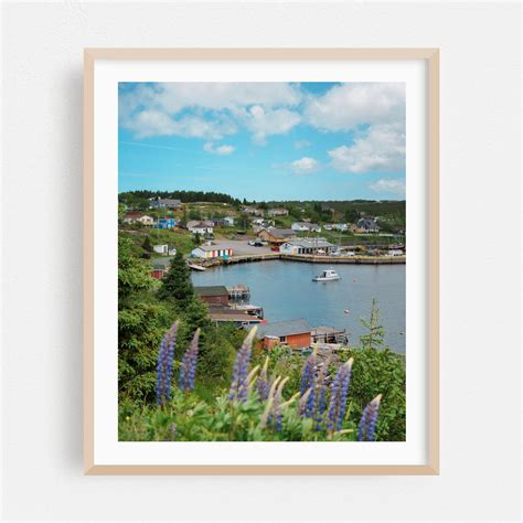 Dildo Views Dildo Newfoundland And Labrador Canada Photography Harbor Coastal Boat Scenic