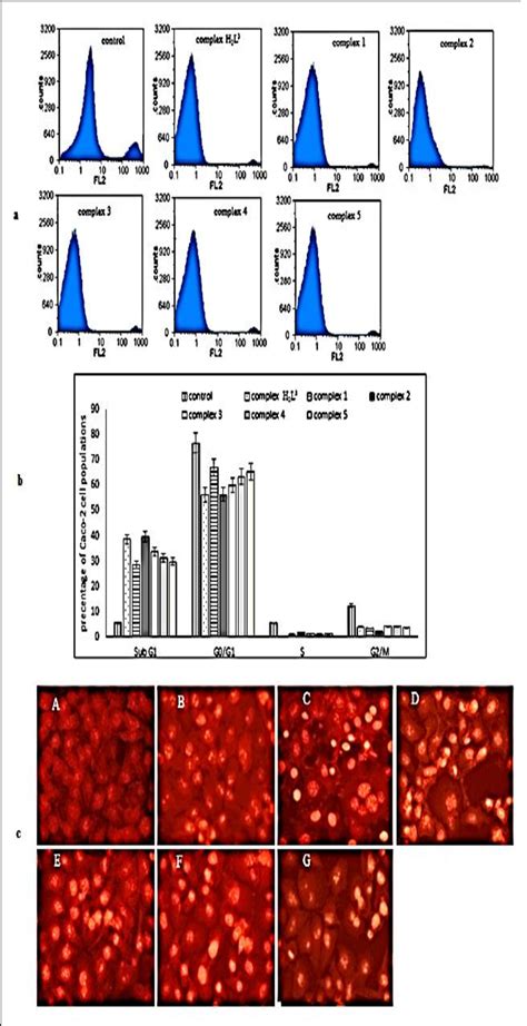 Analysis Of Cell Cycle Distribution And Apoptotic Effect Of The