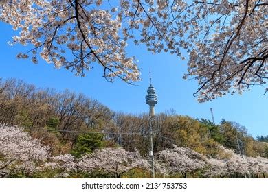 4,893 Daegu Images, Stock Photos & Vectors | Shutterstock