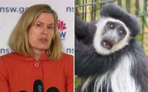 Nsw Cho Urges Gay And Bi Men To Be Alert To Monkeypox