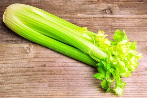 Fresh Celery Stems Stock Image Image Of Color Backgrounds 74056121