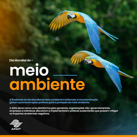Curiosidades Do Meio Ambiente - Dia Mundial do Meio Ambiente: Um Chamado à Ação para Preservar Nosso ...