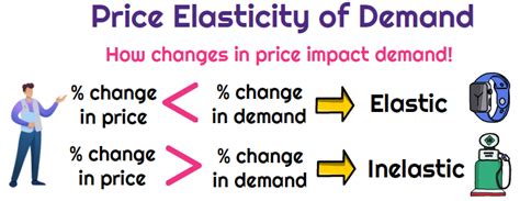 Types Of Elasticity Measures In Supply And Demand Universal Cpa Review