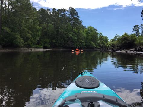 Upper Ashley River , SC : r/Kayaking