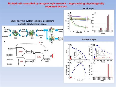 Biofuel Cells