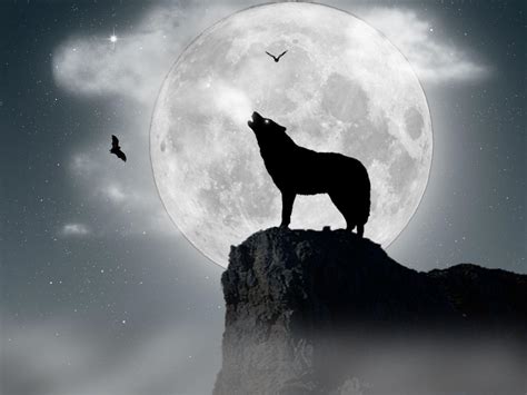 wolf moon wallpapers wallpaper cave