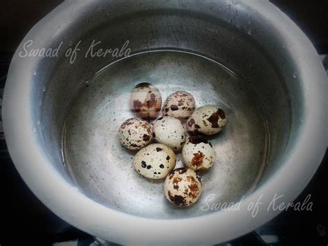 Swaad Of Kerala Quail Egg Currykaada Mutta Curry