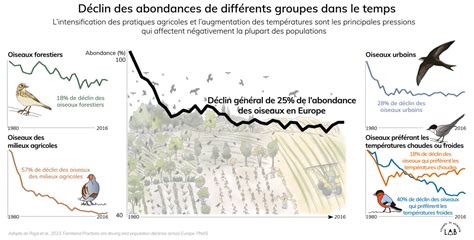 Alerte Rouge Millions Doiseaux Ont Disparu En Europe En Ans