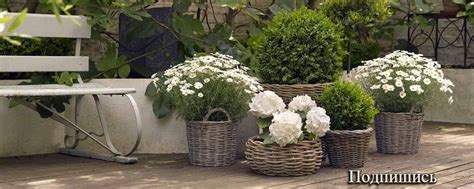 Кашпо из ротанга /мебель из ротанга/Липецкая обл | Приглашаю Вас в ...