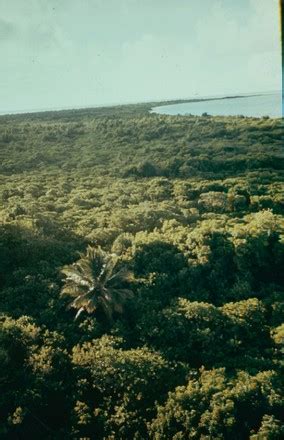 500 Bikini Atoll Marshall Islands Stock Pictures Editorial Images And Stock Photos Shutterstock