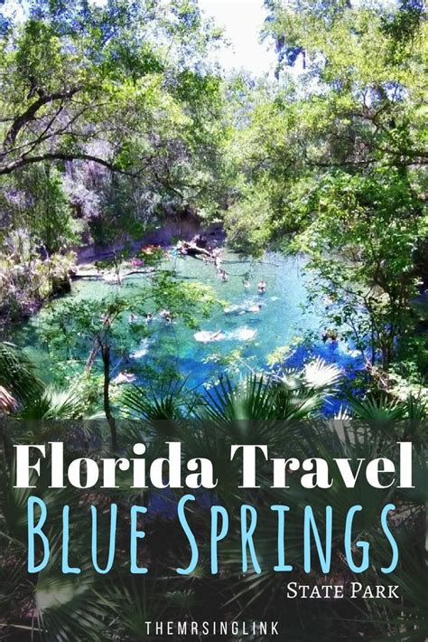 Snorkeling The Florida Blue Springs State Park | Blue springs state ...