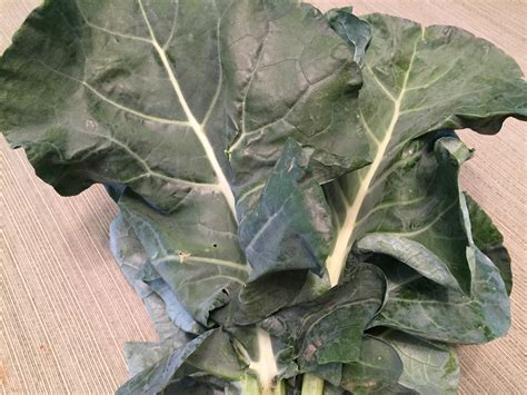 Broccoli Leaves Archives Csa365