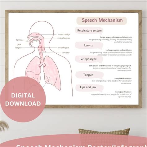 Speech Anatomy Art Etsy