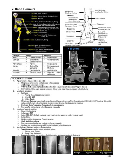 Bone tumors | PDF | Bone | Medical Specialties