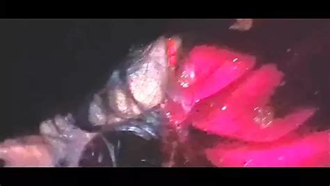 Bhabhi Ko Pata Ke Ki Chudai Aur Bna Li Chupkse Video Indian Amateur Porn Xhamster