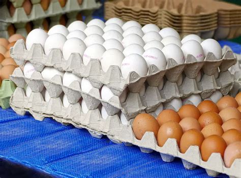 718 Profit Surge For Egg Companies As Prices Soar To New Levels