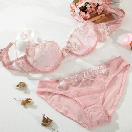 Transparent Lingerie Lace Embroidery Thin Bra Set Power Day Sale