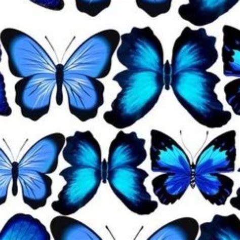 Carambano Dildo Shemale Ladyboy Ladyboy Porn Feat Heather Xhamster