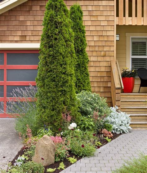 These 5 Fast Growing Evergreen Trees Quickly Transform Your Landscape