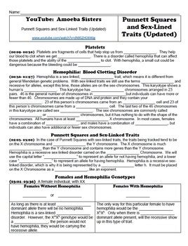 Punnett Squares And Sex Linked Traits Handout For Amoeba Sisters YouTube Video