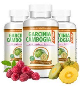 Best Garcinia Cambogia Brands 2020 Detailed Reviews Buyers S Guide