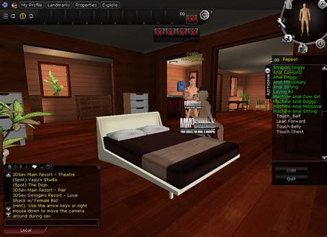 18 Adult Mmorpg 3dsex Review Nsfw