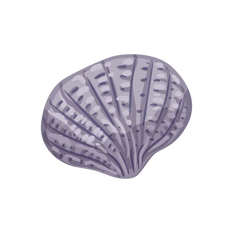 Beach Sea Shell Cartoon Vector Illustration Vector Art At Vecteezy