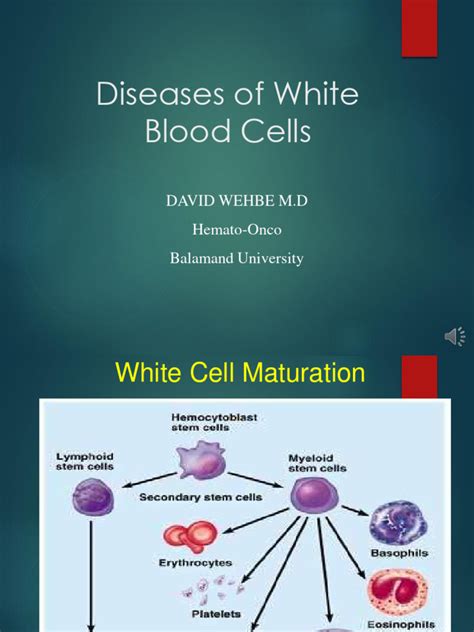 White Blood Cell Disorders | PDF