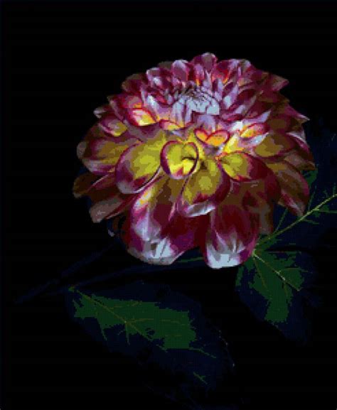 Схема вышивки «на черном фоне» - Вышивка крестом