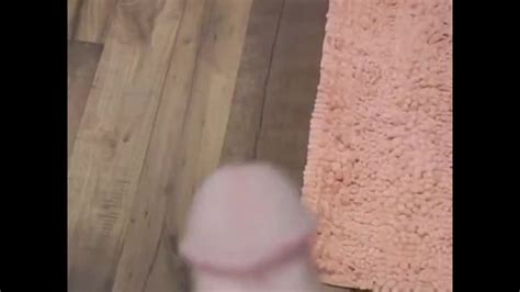 Dis Dick Pornhub Gay