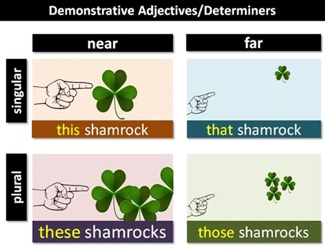 Demonstrative Adjectives Explanation And Examples