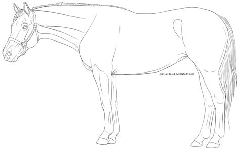 Quarter Horse Drawing At Getdrawings Free Download