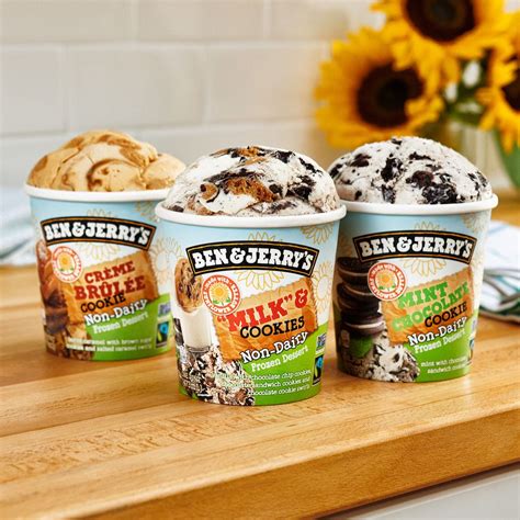 Ben & Jerry's Is Releasing 3 New Dairy-Free Flavors