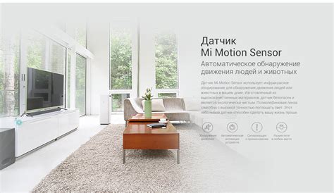 Xiaomi Россия